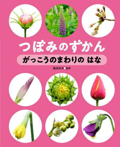 つぼみのずかん 〔第1巻〕 がっこうのまわりのはな