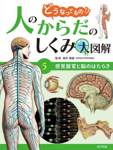 Pixel ❰大幅お値引き❱Dr.Brain 基本編 特別編 | polisa-click.co.il