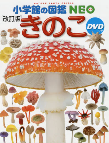 小学館の図鑑NEO 22冊セット DVDありません 32774 DVD付 新版 昆虫 (小学館の図鑑 NEO) | 小池 啓一, 小野 展嗣