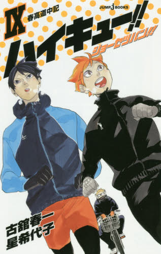 ハイキュー漫画・小説・ファンブックセット ハイキュー漫画・小説・ファンブックセット