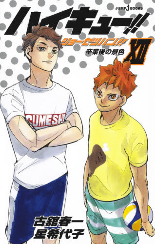 集英社 JUMP j BOOKS「ハイキュー!!」セット 既13巻｜HONLINE