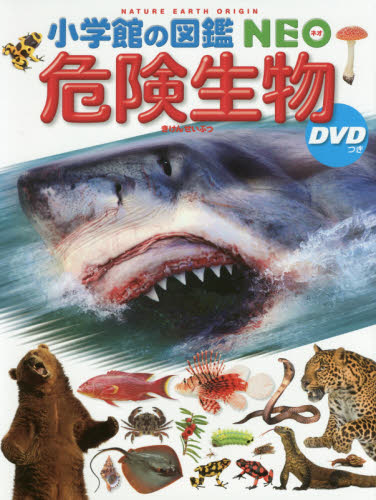 【DVD無し】小学館の図鑑neo 20冊まとめ／自由研究・知育本／図鑑中古本 DVD無し】小学館の図鑑neo 18冊まとめ／自由研究・知育本／図鑑