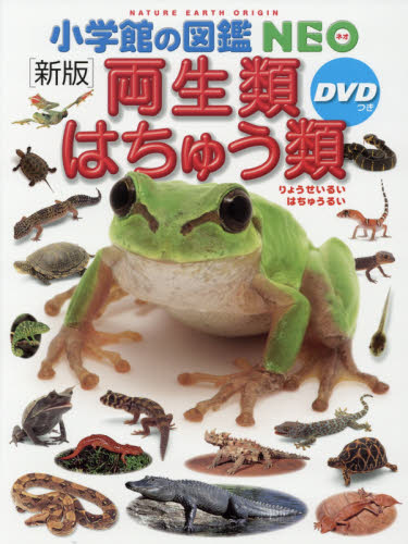 小学館の図鑑NEO11冊セットDVD付き Amazon.co.jp: 小学館の図鑑NEO 新11~20巻セット 既10巻 : 冨田