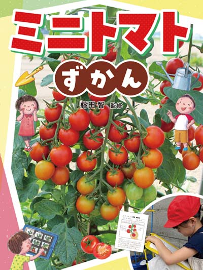 ミニトマト様 ミニトマト種子】RIJK ZWAAN ライクズワーン社 コンフェット（Confetto