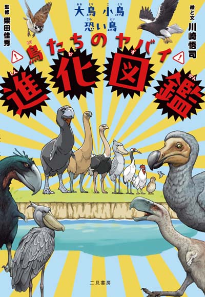 鳥の形態図鑑 鳥の形態図鑑(赤勘兵衛 著 ; 岩井修一 解説) / 古本、中古本、古