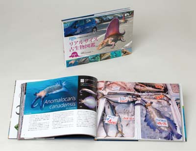 リアルサイズ古生物図鑑 古生代編 古生物のサイズが実感できる! 古生物のサイズが実感できる！ リアルサイズ古生物図鑑古生代編