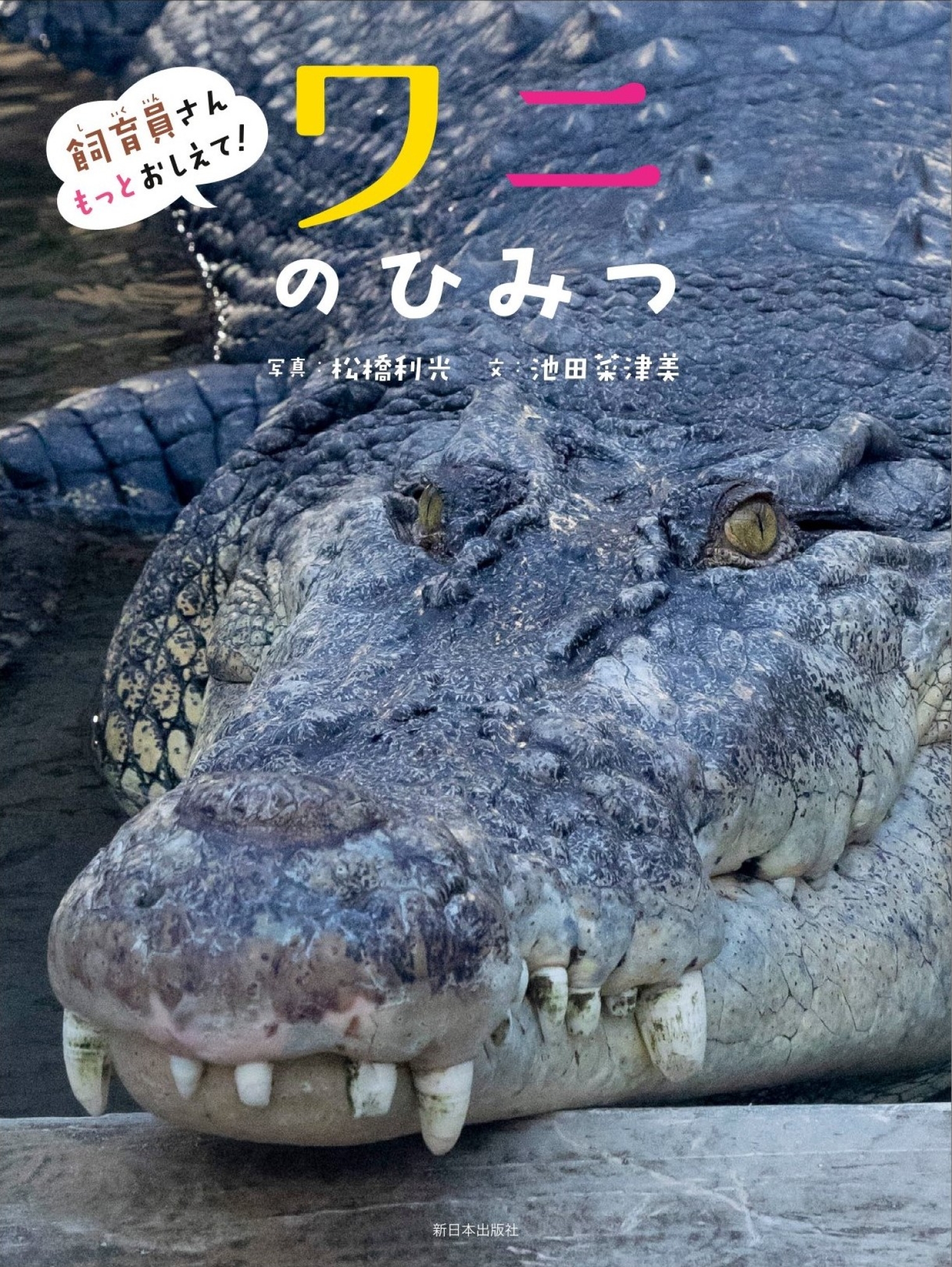 ワニ子ページ ワニのひみつ｜HONLINE（ホンライン）